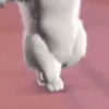 Perritos TikTok (Barbie) 12