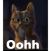 Gatitos 6