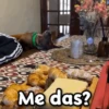 Los más buscados de TikTok 13