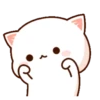 Cutie Cat Chan 13