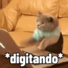 MEMES VARIADOS 12