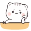 🎀   Gatito   tierno  🎀 13