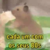 Reações de animais 😍 9