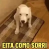 EITA COMO TEM MEME 😁 10