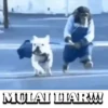 Wkwkwkwkwkwkkw 6