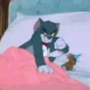 Tom & Jerry🐱🐭 8