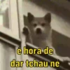 Para reagir e debochar 😂 16
