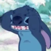 🌈 Animaditos Random 10 🤭 10
