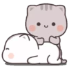 Gatitos tiernos  5
