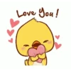 Ayam lucu 11