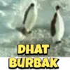 DHAT BURBAK
