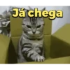 Memes que você precisa ter 7