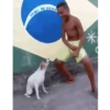REAÇÕES ENGRAÇADAS KKKK 9