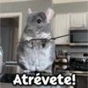 Los más buscados de TikTok 8