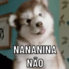 Memes pro zap 9