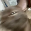 🎵 TIKTOKeando 1🎵 16