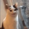 Funny Animated 😂 15