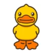 Male Duck 5