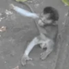 GIFs Amorzin 2 12