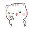 Cutie Cat Chan 9