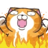 Kimoy si Kucing Gemoy 7