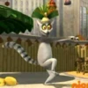 Madagascar Movie🎥🦁🦒🦓🦛✨ 7