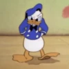 GIFs 2 29