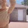 🐻Bear dance🐻 5