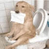 GIFs 2 23