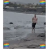 Video pollo palet 8
