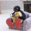 PINGU 6
