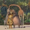 Madagascar Movie🎥🦁🦒🦓🦛✨ 13