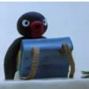PINGU 28