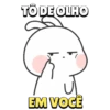 Coelhinhos apaixonados ♥️ 10