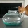 Gatitos Cute Animados 17