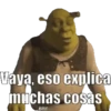 Shrek Animado I 🐸🧅😼 11