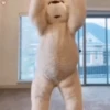 🐻Bear dance🐻 12