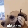 Boa pra mandar no grupo 🏘️😂 15