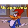 Pica Pau Sincero 13