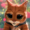 Cutie🥺 8