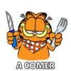 Garfield🐱🧡 15