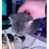 GIFs 2 30