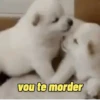vou te morder