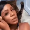 Funny Cats 8