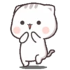 Cutie Cat Chan 7