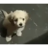 Animados pa' ti 2 😭 8