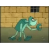 Pica Pau Sincero 7