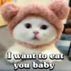 Cute Cats 😻😻 5