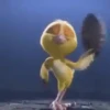 Bailando con "Río"The Movie🎬💃🏻🐦 7