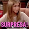 MEMES FRIENDS 2 5